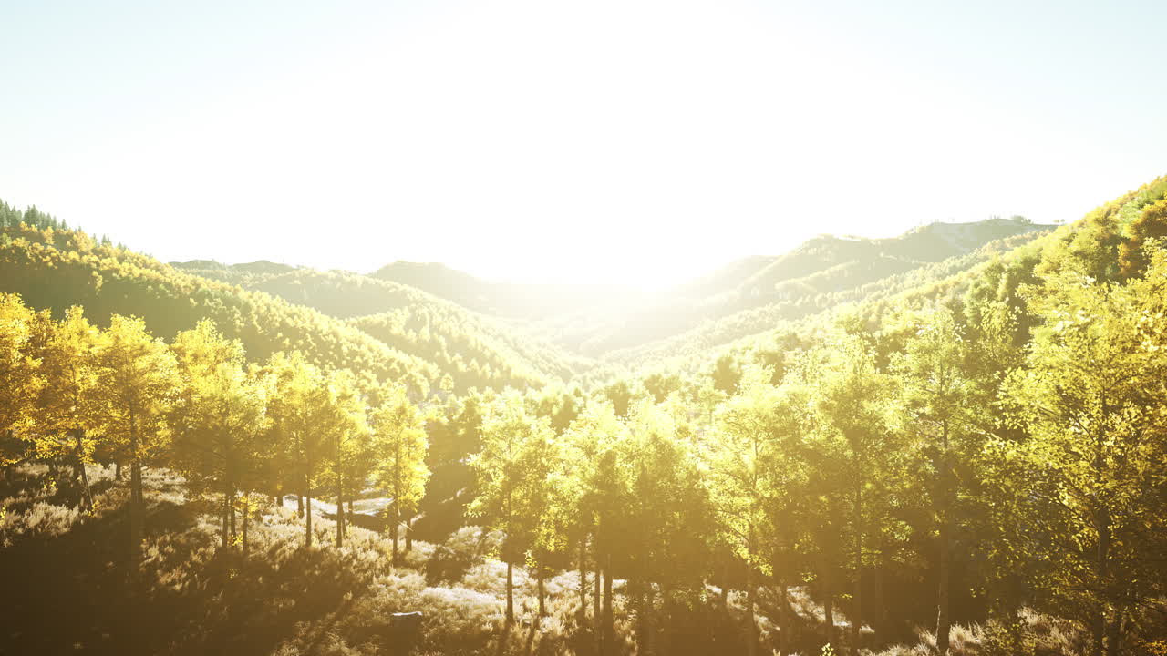 스위스의 산과 푸른 하늘에서 가을의 숲의 전망
