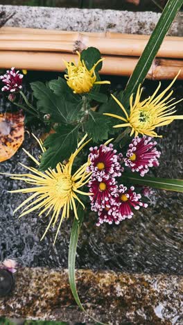 beautiful chrysanthemum arrangement in a water feature