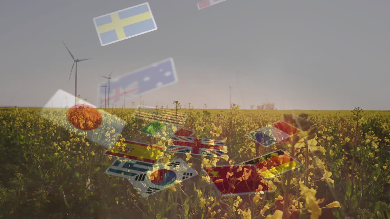 Yellow canola plants spreading across farmland with wind turbines spinning under overlaid flags