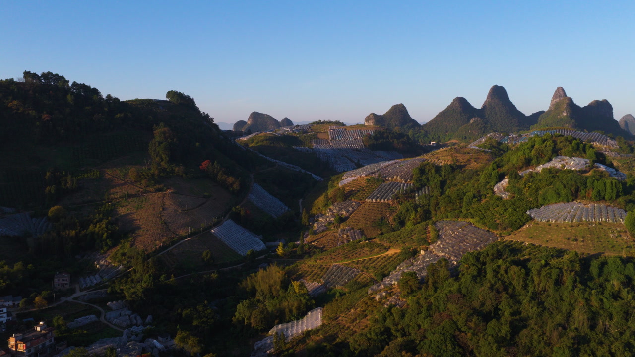 Flyover Rural Village And Farmlands With Conical Limestone Peaks At Sunrise In Yangshuo County, China. Aerial Drone Shot