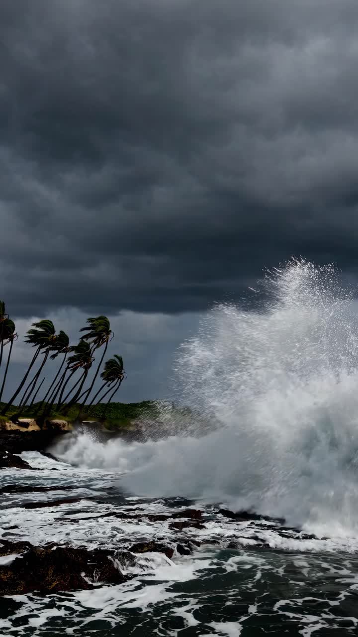 Stormy ocean waves crash against rocky shore, palm trees sway under dark clouds