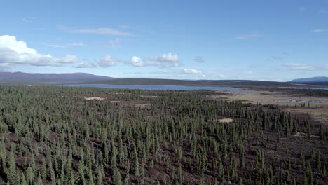 Video-Aéreo-4k-30fps-En-La-Carretera-Desde-Tok,-Alaska