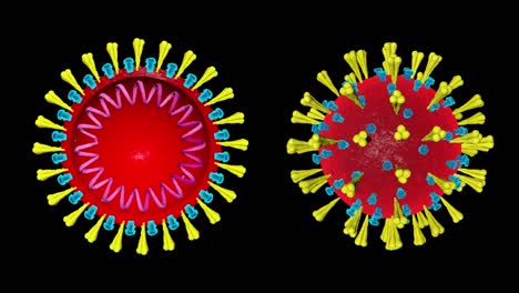 coronavirus  black screen background