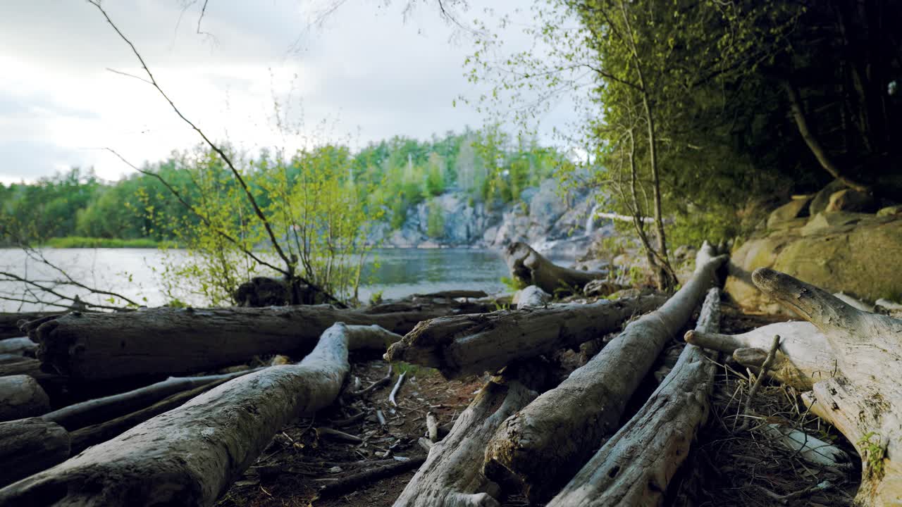 Bunke af gamle drivtømmerstammer på en forvitret stenstrand skyllet i land i det nordlige Ontario