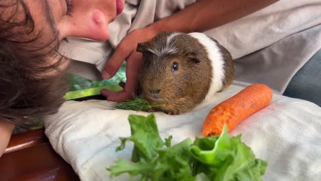 child feeding guinea pig