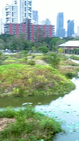 scenic urban park pond with lush greenery and city skyline