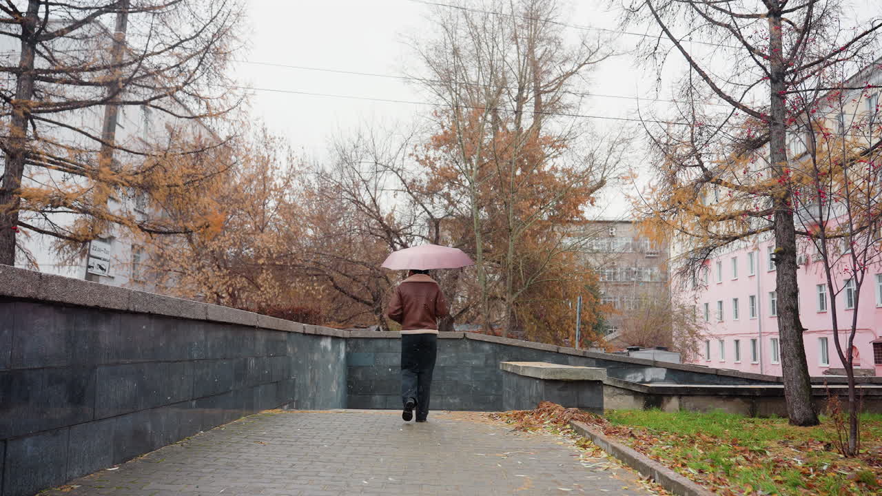 Back shot of lady holding umbrella, wearing knit cap, brown shearling jacket, black trousers, one hand in her pocket, walking in light snowfall with colorful autumn leaves scattered on ground