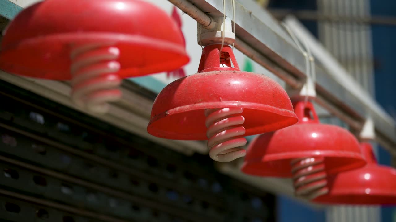 Close-up of red lanterns at a closed indoor wet market shop in Hong Kong, China. Lanterns are a traditional and iconic feature and decor of local markets.