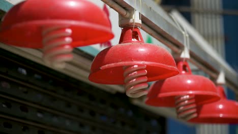close-up of red lanterns at a closed indoor wet market shop in hong kong, china. lanterns are a traditional and iconic feature and decor of local markets.