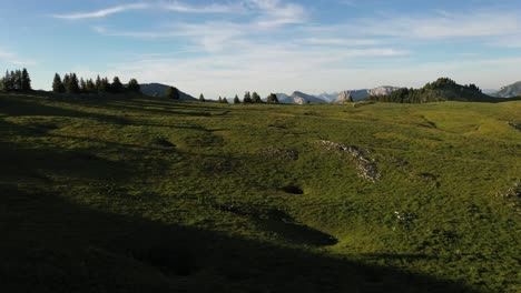 very cinematic drone shot of pastures, trees, and mountains in the alps