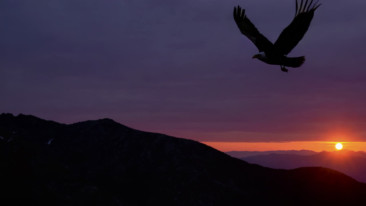 Majestic Eagle Soaring Above Sunrise Mountains