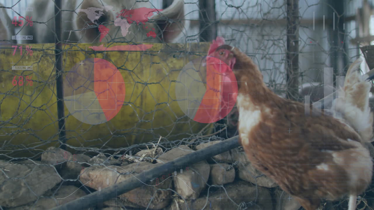 animated flat design brown hen standing inside coop scene, featuring yellow feeder wire mesh fence