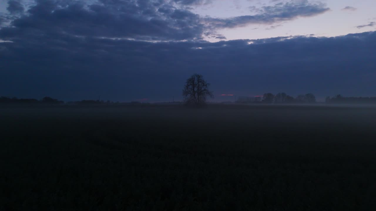 Captivating Evening Mist Over a Vast Rapeseed Field at Sunset, Captured by Drone in Stunning 4K , Showcasing the Tranquil Beauty of Nature with Golden Hues and Serene Atmosphere in the Countryside