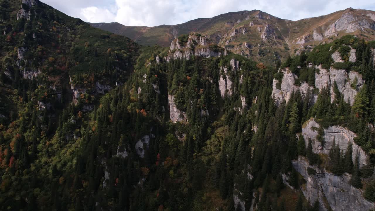 el denso bosque de las montañas bucegi con altos acantilados en otoño, vista aérea