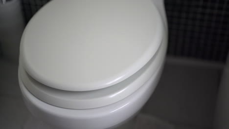 White-soft-close-toilet-seat-going-down