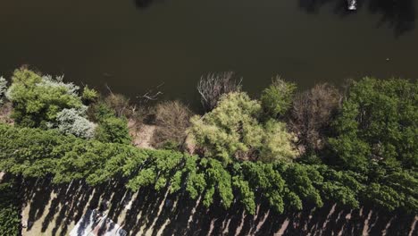 drone flight over the black river in a rural landscape with trees and vegetation and a calm sunny day - bird's eye view