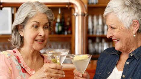 senior friends toasting glass of cocktail 4k