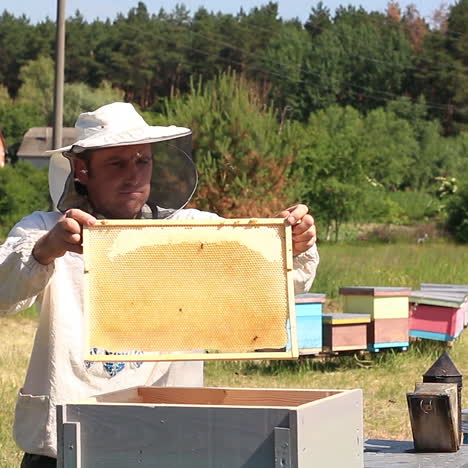 The beekeeper looks after bees, honeycombs, a lot of honey, in a protective beekeepers beast. Concept: bee hive, pure natural product, useful product, yellow golden honey, swarm of bees, hard working.