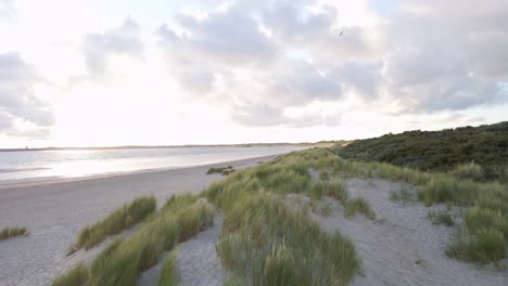 aerial footage flying over the dunes at the north sea shore of zeeland, netherlands during sunrise