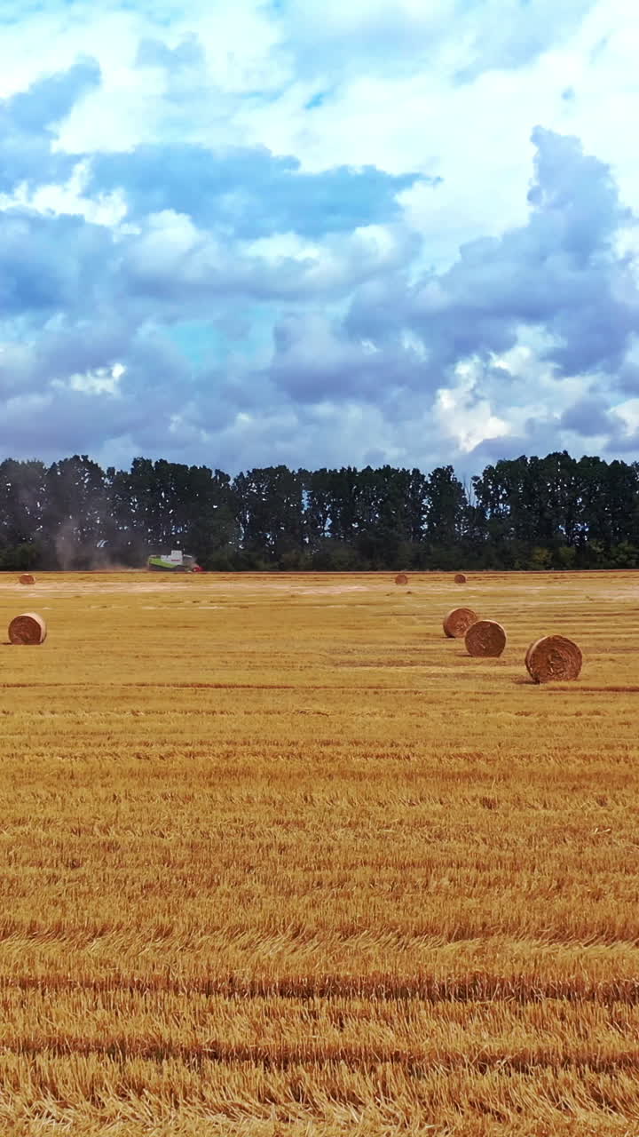 Flight over the golden field with pressed bales outdoors. Agricultural background of the field and round bales laying on the ground. Motion camera forward. Vertical video