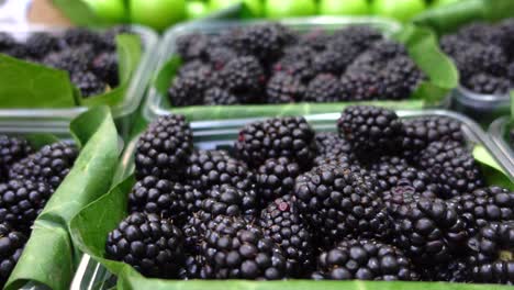 closeup of fresh blackberries