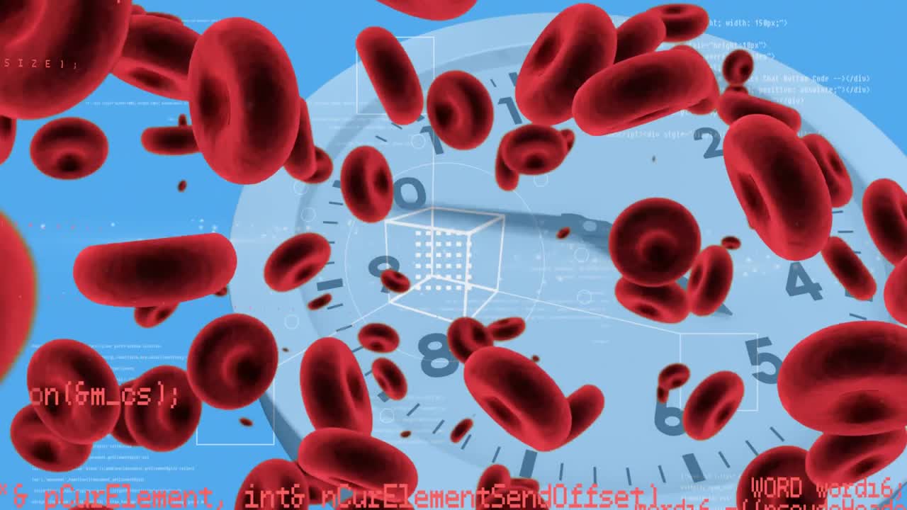 적혈구와 백색 시계