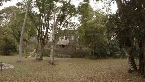 mayan ruins at tikal in guatemala