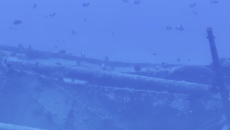 Cinematic close-up dolly shot from a submarine porthole of a shoal of fish swimming around a shipwreck on the ocean bottom off the coast of Hawai&#039;i