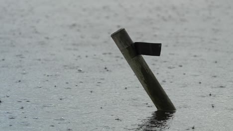 wooden post in rain-covered water