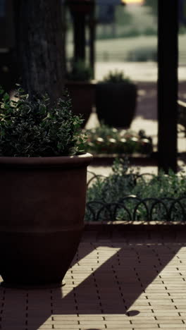 potted plants on a brick patio