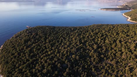 Cinematic-Reveal-Drone-Shot-at-Sunset,-Forest,-Coast