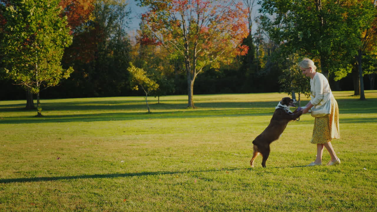 mujer activa juega con un perro en el parque