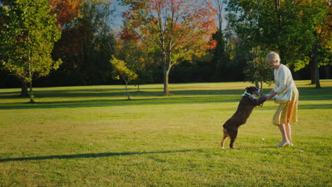 Aktive-Frau-Spielt-Mit-Einem-Hund-Im-Park