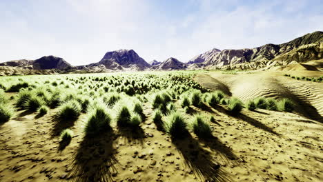 expansive desert landscape with green grass and distant mountains