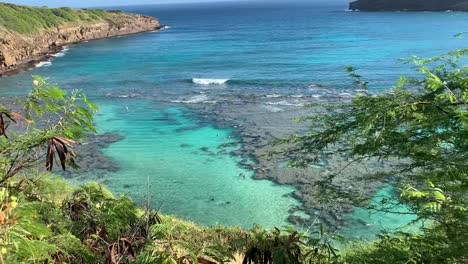 an aerial footage of people exploring the spectacular coral reefs of hanauma bay in hawaii