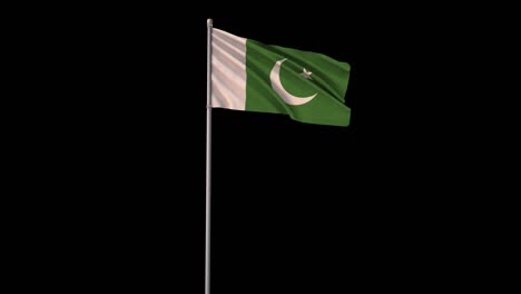 bandera de pakistán con canal alfa, el video 4k es transparente