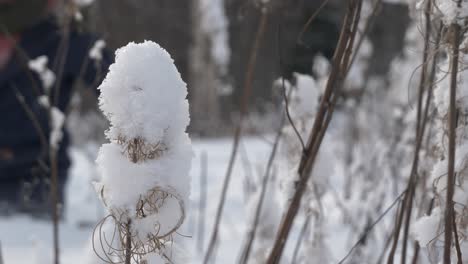 male guy wading in deep snow, wild nordic concept