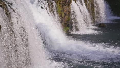 salmón saltando en el río varma en islandia