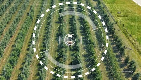 drone technology for smart agriculture - orchard spraying