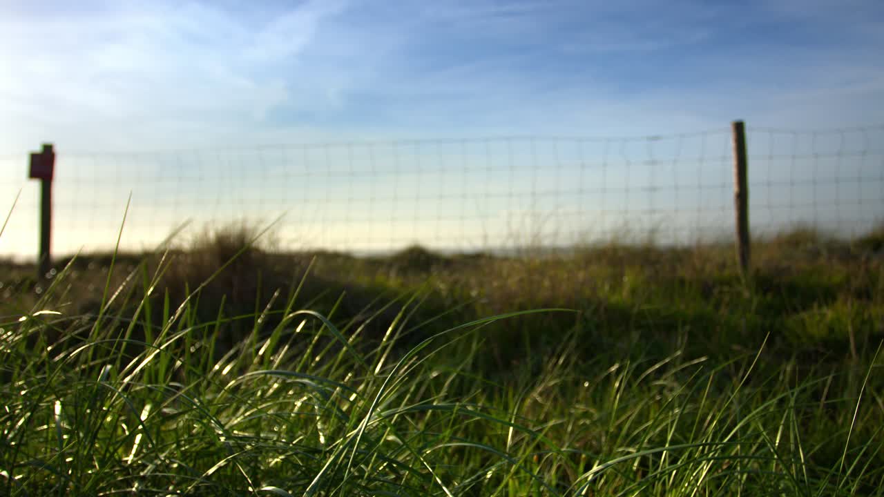valla de hierba de naturaleza sostenible fondo borroso durante el día ventoso del cielo azul en el campo de la granja sin gente gran angular