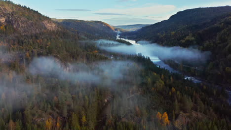 Aerial-drone-view-over-a-rapids-and-foggy,-autumn-color-forest,-in-south-Norway