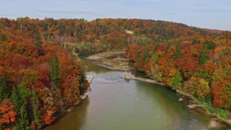 slow pullback aerial shot of an river flowing through colorful orange, red and green idyllic parts of a forest