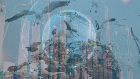 video compuesto digital del procesamiento de datos financieros contra aves que vuelan sobre el vertedero