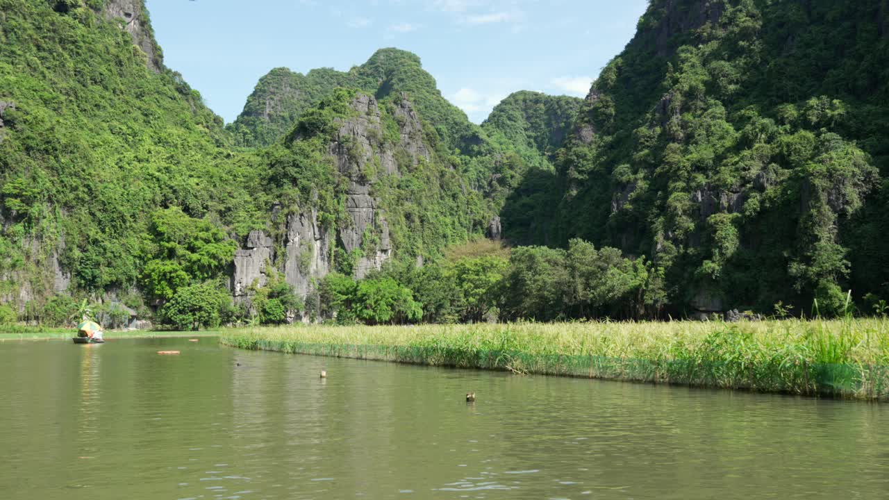 Cruise view along the Ngo Dong River, Tam Cốc , Vietnam, Asia, with lush green karst peaks and rice fields lining the riverbank