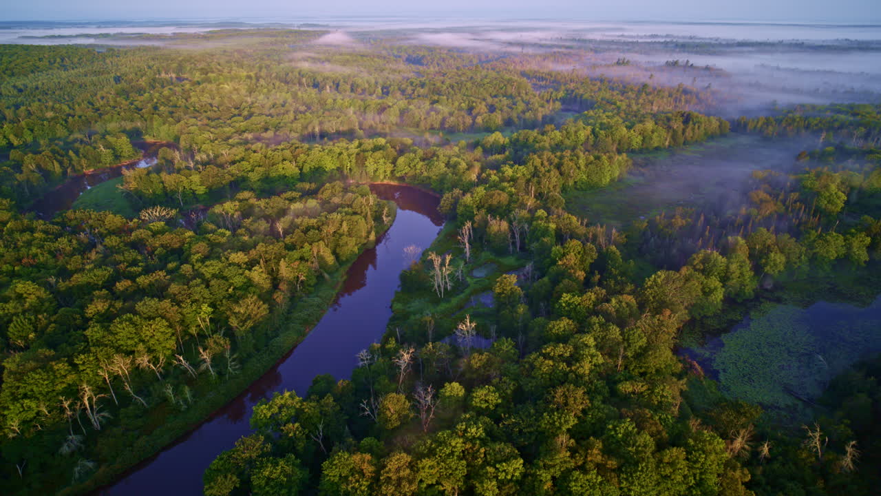 드론은 해가 뜨는 북부 미시간의 안개가 많은 마니스티 강 (manistee river) 의 수많은 강변을 날아다니고 있습니다.