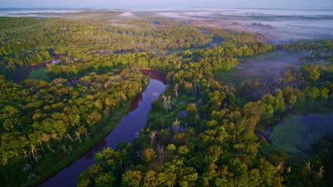 drone shot flying over numerous river bends of the foggy manistee river in northern michigan at sunrise