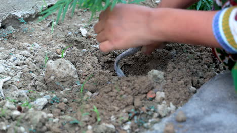 concepto de jardinería