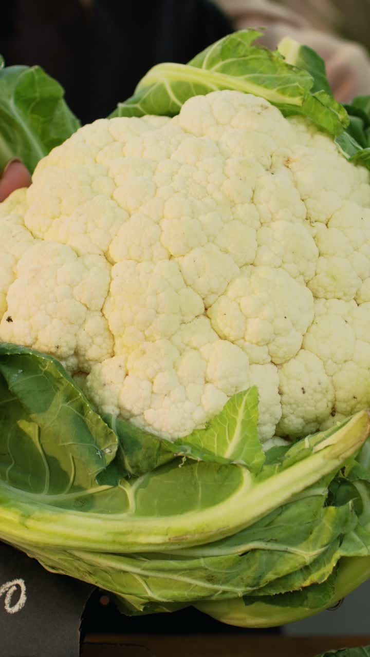 Vertikales Video: Bäuerin präsentiert Blumenkohl für gesunde Ernährung