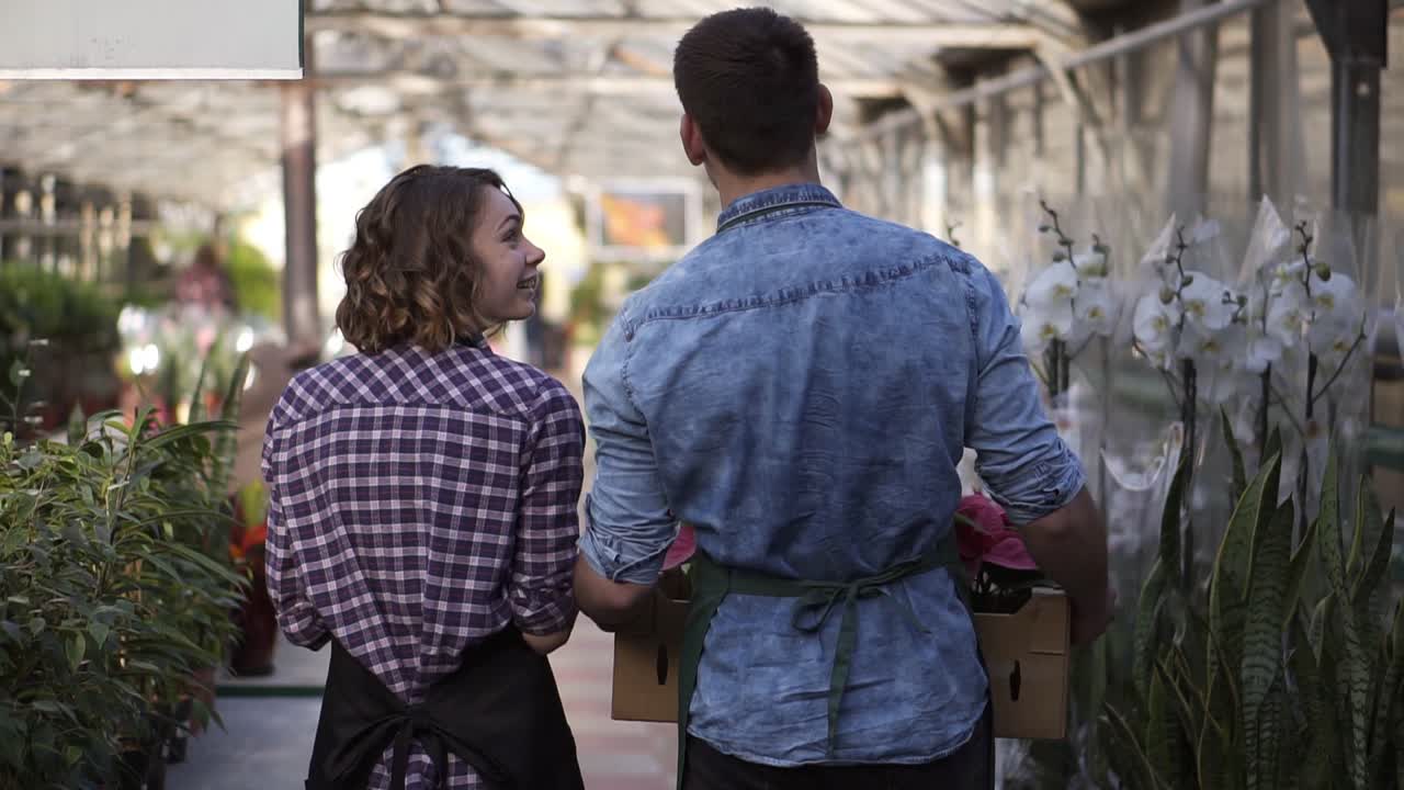 Tall male gardener in shirt and green apron carrying carton box with pink flowers plants while walking with his collegue - a nice girl listening to him. Walking between raised flowers in a row of indoors greenhouse. Rare view