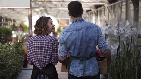 Tall-male-gardener-in-shirt-and-green-apron-carrying-carton-box-with-pink-flowers-plants-while-walking-with-his-collegue---a-nice-girl-listening-to-him.-Walking-between-raised-flowers-in-a-row-of-indoors-greenhouse.-Rare-view